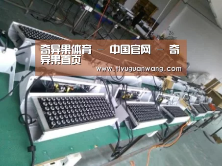 奇异果官网首页案例展示一