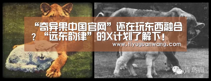 “奇异果中国官网”还在玩东西融合?“远东韵律”的X计划了解下!(图1) 奇异果中国官网