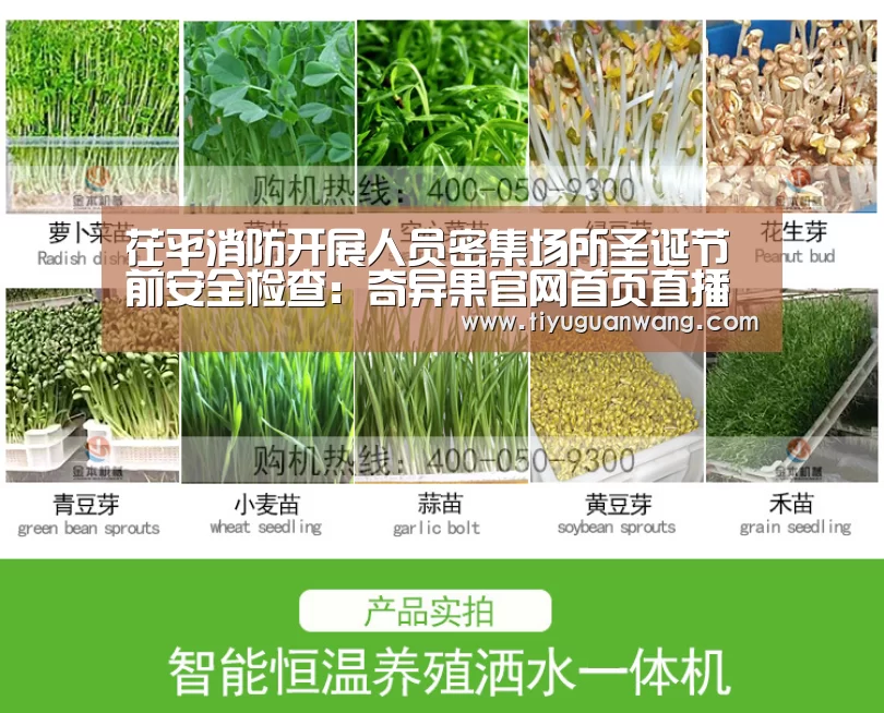 茌平消防开展人员密集场所圣诞节前安全检查:奇异果官网首页直播(图1) 奇异果中国官网