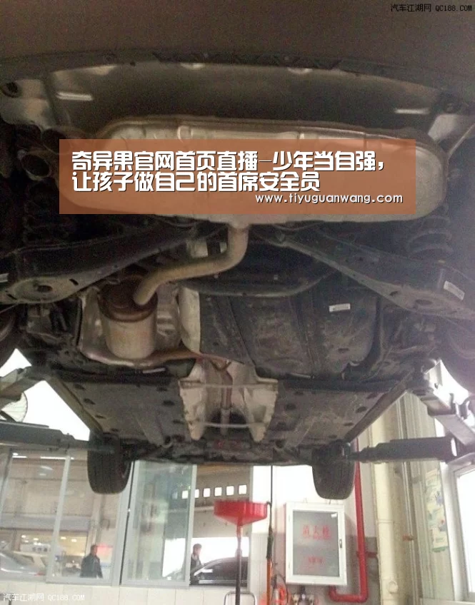 奇异果官网首页