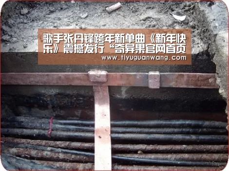 奇异果中国官网