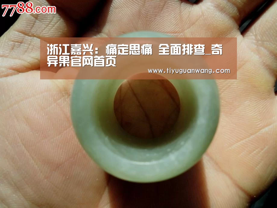 奇异果官网首页