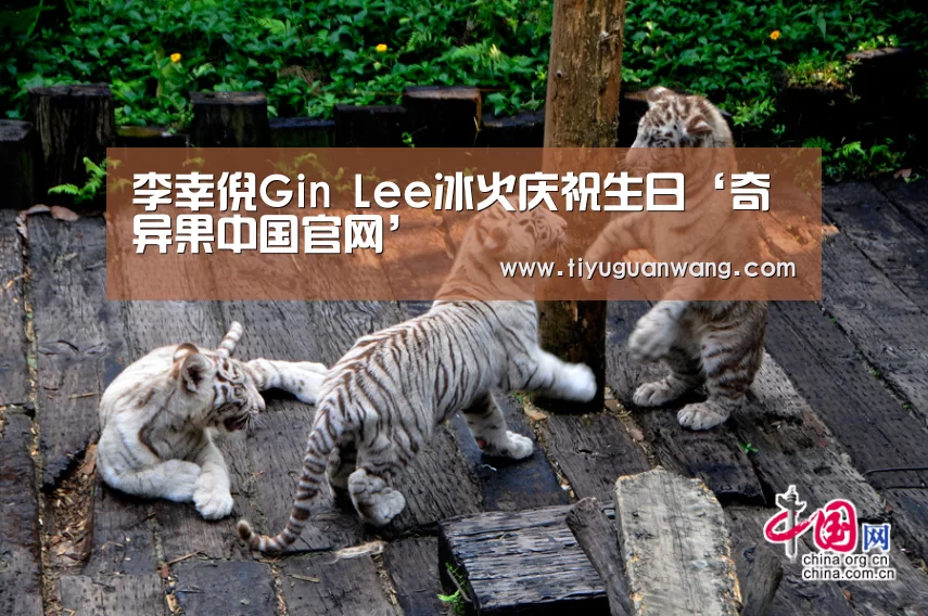 李幸倪Gin Lee冰火庆祝生日‘奇异果中国官网’(图3) 奇异果中国官网