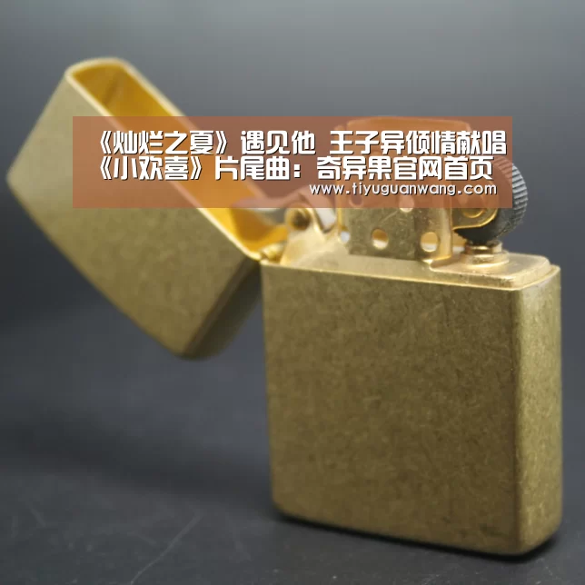 《灿烂之夏》遇见他 王子异倾情献唱《小欢喜》片尾曲:奇异果官网首页(图2) 奇异果官网首页直播
