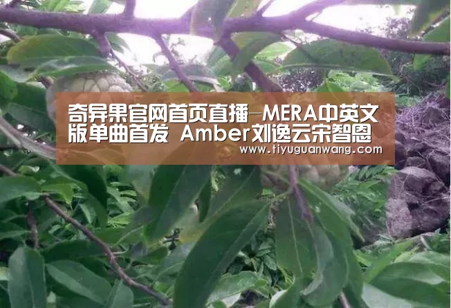 奇异果官网首页直播-MERA中英文版单曲